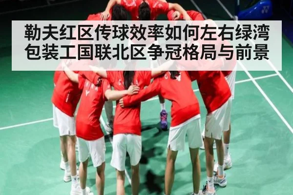 勒夫红区传球效率如何左右绿湾包装工国联北区争冠格局与前景